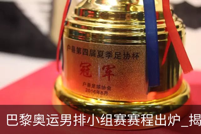 巴黎奥运男排小组赛赛程出炉 揭幕战日本迎战德国